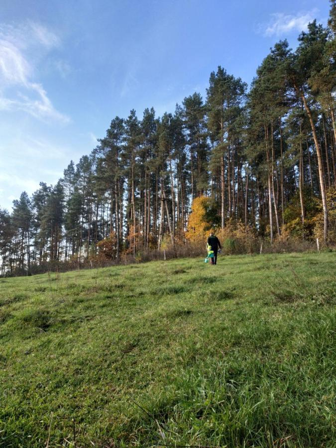Domki Nad Jeziorem - Zalesie 7D Zalesie (Olsztyn) Εξωτερικό φωτογραφία