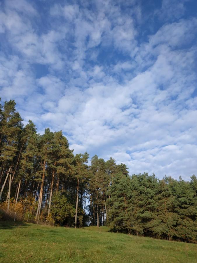 Domki Nad Jeziorem - Zalesie 7D Zalesie (Olsztyn) Εξωτερικό φωτογραφία
