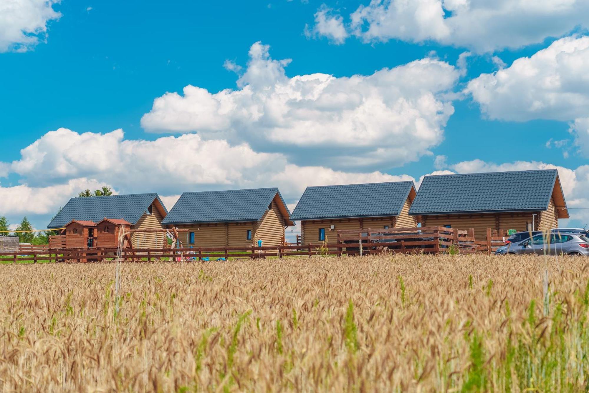 Domki Nad Jeziorem - Zalesie 7D Zalesie (Olsztyn) Εξωτερικό φωτογραφία